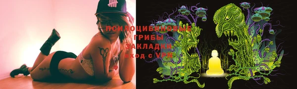 дурь Вяземский