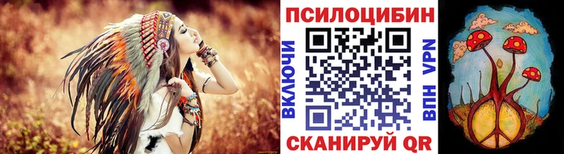 Псилоцибиновые грибы Psilocybine cubensis  Десногорск 